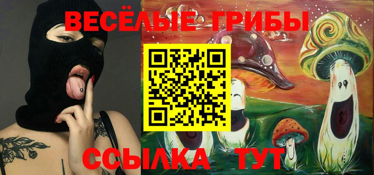 Владимир  Галлюциногенные грибы мухоморы  Вход с VPN 