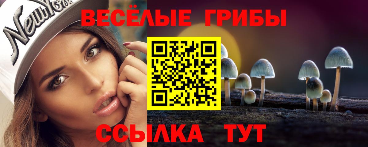 Псилоцибиновые грибы Magic Shrooms Владимир